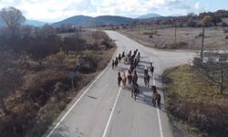 Isparta'da yılkı atları dronla görüntülendi