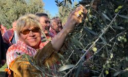 İzmir'de zeytin ve zeytinyağı sezon açılış töreni yapıldı