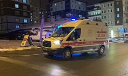 Kayseri'de kadın cinayeti ihbarına giden polis, kar altında cansız manken bacağı buldu