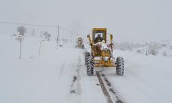 Niğde, Kayseri ve Kırşehir'de kar etkili oluyor