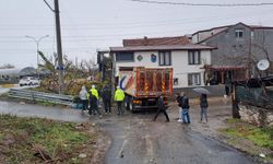 Sakarya'da fren arızası nedeniyle eve giren kamyonun sürücüsü yaralandı