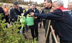 Samsun ve çevre illerde Milli Ağaçlandırma Günü'nde fidanlar toprakla buluştu