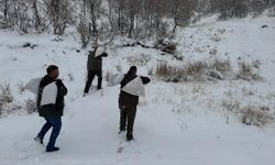 Siirt'te yaban hayvanları için doğaya yem bırakıldı