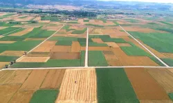 Çanakkale'nin Biga ilçesindeki bazı köylerde arazi toplulaştırma çalışmaları yapılacak