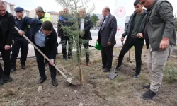 Bitlis'te, Dünya Ahıska Türkleri Birliği Hatıra Ormanı oluşturuldu