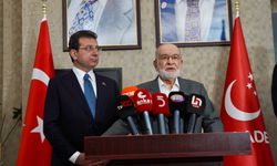 Temel Karamollaoğlu: Ülkem adına üzülüyorum