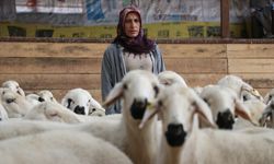 Devlet hibesiyle 20 koyunla başladığı besicilikte hayvan sayısını 400'e çıkardı