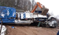 GÜNCELLEME - Sakarya'da taş kırma makinesinin devrildiği kazada yaralanan kişi öldü