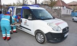 Kocasinan'da "Küçük Dostlar Ambulansı" ile 8 bin 753 hayvana müdahale edildi