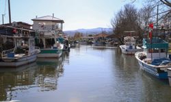 Sakarya'da balıkçılar, Karadeniz'den bol miktarda barbun ve istavritle döndü