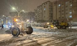 Van'da kar nedeniyle eğitime ara verildi