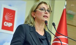 CHP'li Asu Kaya’dan İYİ Partili Toktaş’a tepki: “Kadınlar adına istifasını isterim”