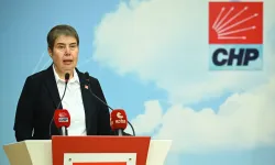 CHP'li Şahbaz'dan, yeni aile hekimliği yönetmeliğine ilişkin açıklama: