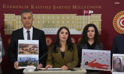 DEM Parti Şırnak Milletvekili Aslan'dan hükümete Suriye önerisi