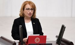 CHP’li Yankıömeroğlu engellilere yönelik şiddeti meclis gündemine taşıdı