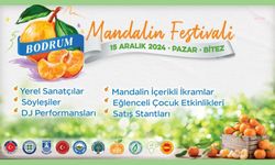 Bodrum Mandalin Festivali 15 Aralık'ta başlıyor