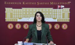 Sevda Karaca: "Çürümenin temelinde sermaye düzeni var"