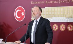 DEM Parti'den 'İmralı ziyareti' açıklaması