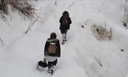 Van'da eğitime bir gün ara verildi