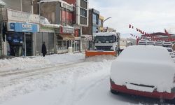 Van'da yoğun kar yağışı devam ediyor: 420 yol ulaşıma kapandı