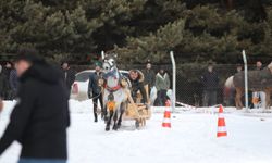 Erzurum'da, Geleneksel Atlı Kızak Şöleni düzenlendi