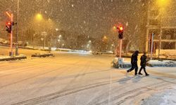 Erzurum'da kar yağışı ve tipi etkili oldu