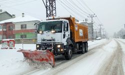 Van'da kardan kapanan 28 yerleşim yerinin yolu ulaşıma açıldı