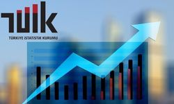 Aylık en yüksek reel getiri BIST 100 endeksinde oldu