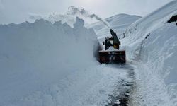 Van'da kar yağışı etkili oldu