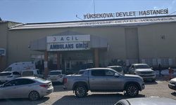 Köpeklerin saldırısına uğrayan çocuk yaşamını yitirdi