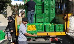 Bodrum Belediyesi kentte 10 ton mandalin dağıttı