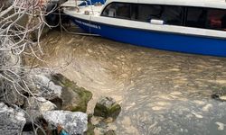 Marmara'da müsilaj alarmı