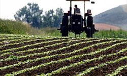 Tarımda üretici enflasyonu yıllık bazda yükseldi