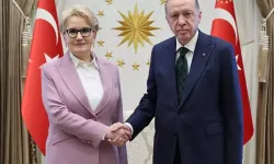 Akalın'dan Meral Akşener iddiası: Erdoğan istifadan vazgeçirdi