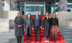 CHP, engellilere yönelik ÖTV düzenlemesinin iptali için AYM'ye başvurdu