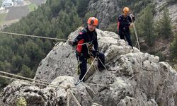 Burdur'da dağlık alanda mahsur kalan keçileri AFAD kurtardı