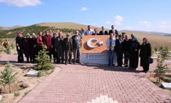Kırşehir'de Şehitler Ormanı özenle korunuyor
