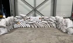 Sakarya'da durdurulan tırda 3,5 ton kıyılmış tütün ele geçirildi