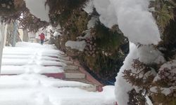Sivas'ın ilçelerinde kar yağışı etkili oluyor