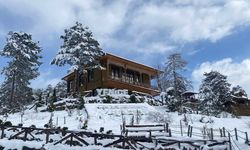 Yenice Ihlamur Teras ve Eflani Gökgöz Göleti'nde kış manzaraları yaşanıyor