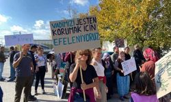 Danıştay iptal kararı vermişti: İzmir'de JES projesine ikinci başvuru