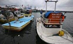 Batı Karadeniz'de kıyı balıkçıları, sezonun geri kalanından umutlu