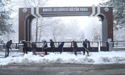 Bingöl ve Şırnak'ta kar nedeniyle 131 yerleşim yerine ulaşım sağlanamıyor