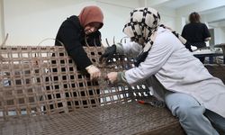 Kadınların ürettiği mobilyalar Macaristan'da bahçeleri süslüyor