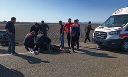Osmaniye'de iki otomobilin çarpıştığı kazada 3 kişi öldü, 3 kişi yaralandı