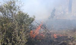 Sakarya'da ormanlık alanda çıkan yangın söndürüldü