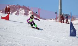 Türkiye Snowboard Şampiyonası sona erdi