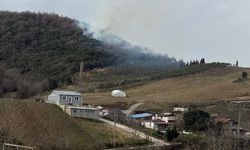 Yalova'da ormanlık alanda çıkan yangına müdahale ediliyor