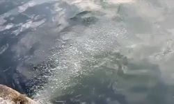 Atık su deşarjı iddialarına İSKi yanıt verdi
