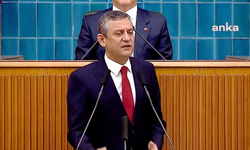 Özel'den Erdoğan'a 'sokak hayvanları yasası' çağrısı